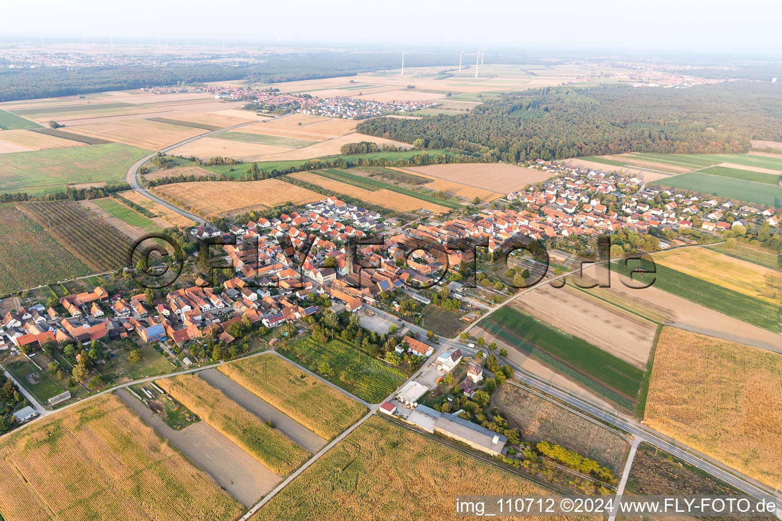 Von Nordosten in Erlenbach bei Kandel im Bundesland Rheinland-Pfalz, Deutschland aus der Luft