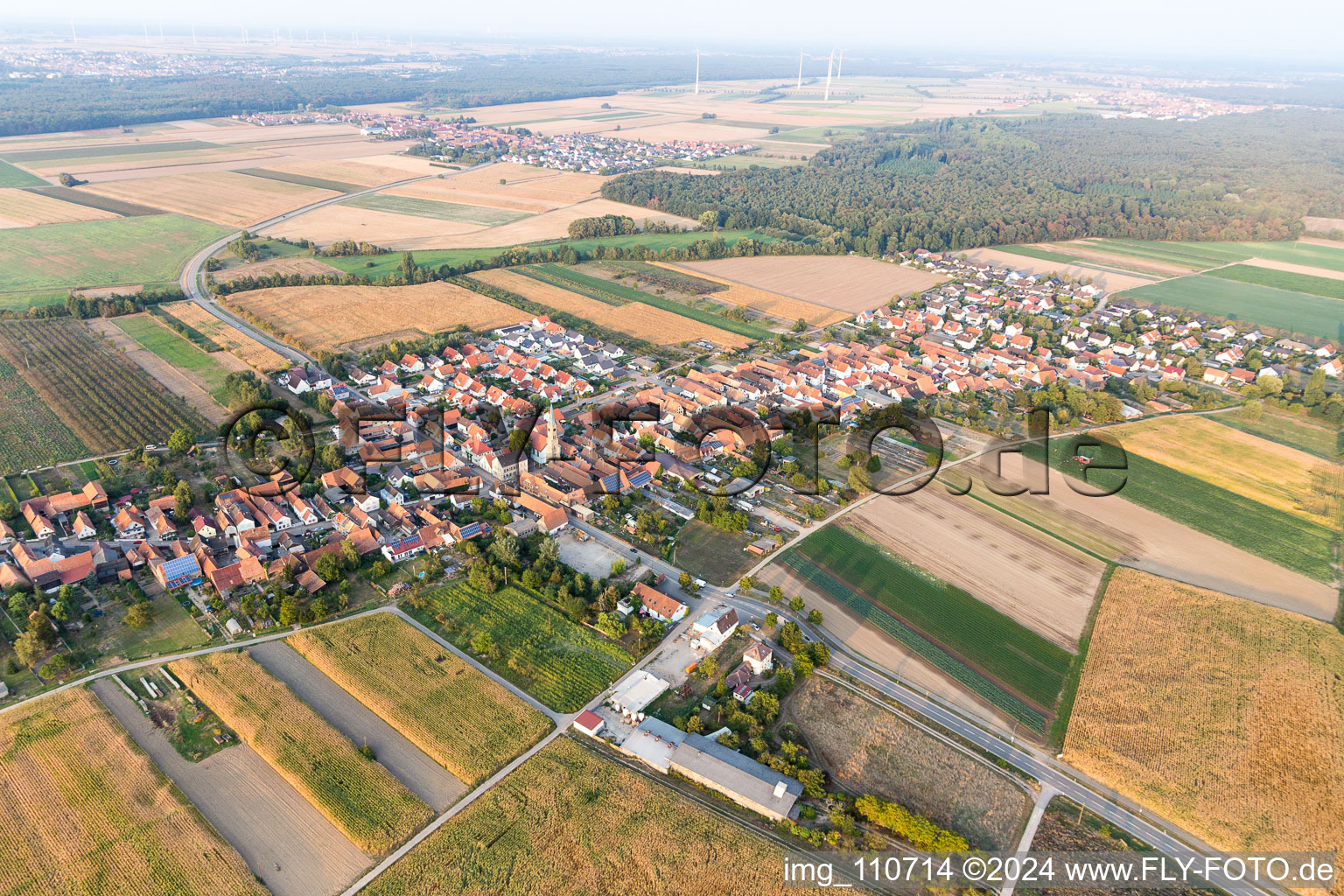 Von Nordosten in Erlenbach bei Kandel im Bundesland Rheinland-Pfalz, Deutschland von oben gesehen