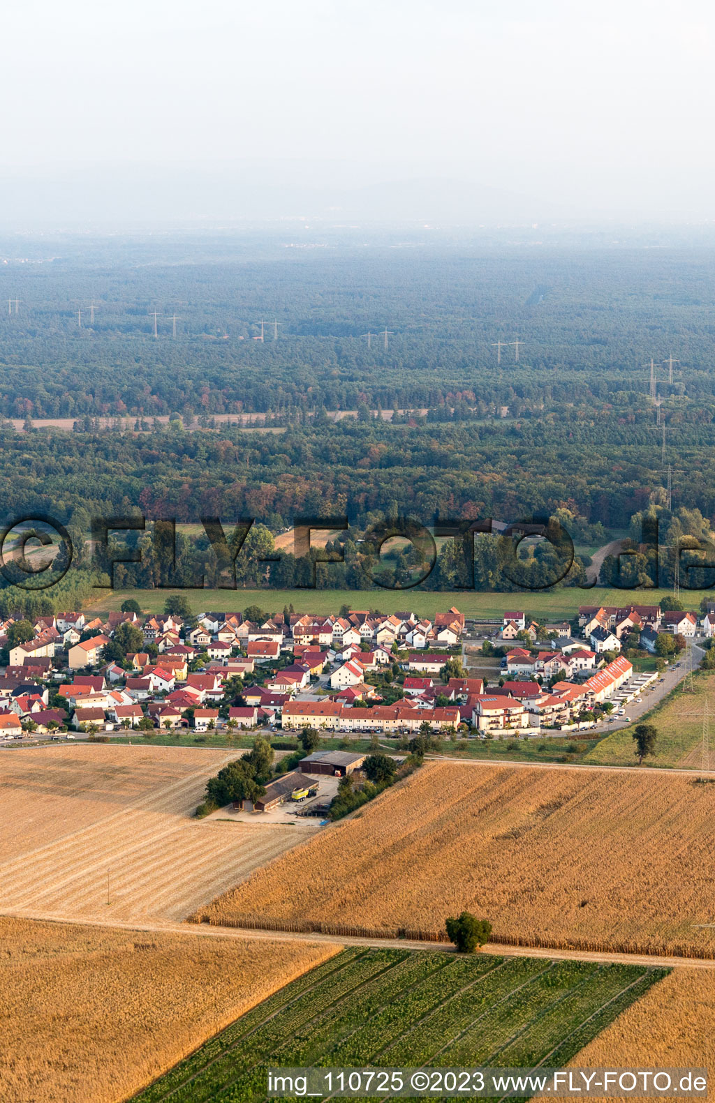 Kandel im Bundesland Rheinland-Pfalz, Deutschland aus der Vogelperspektive