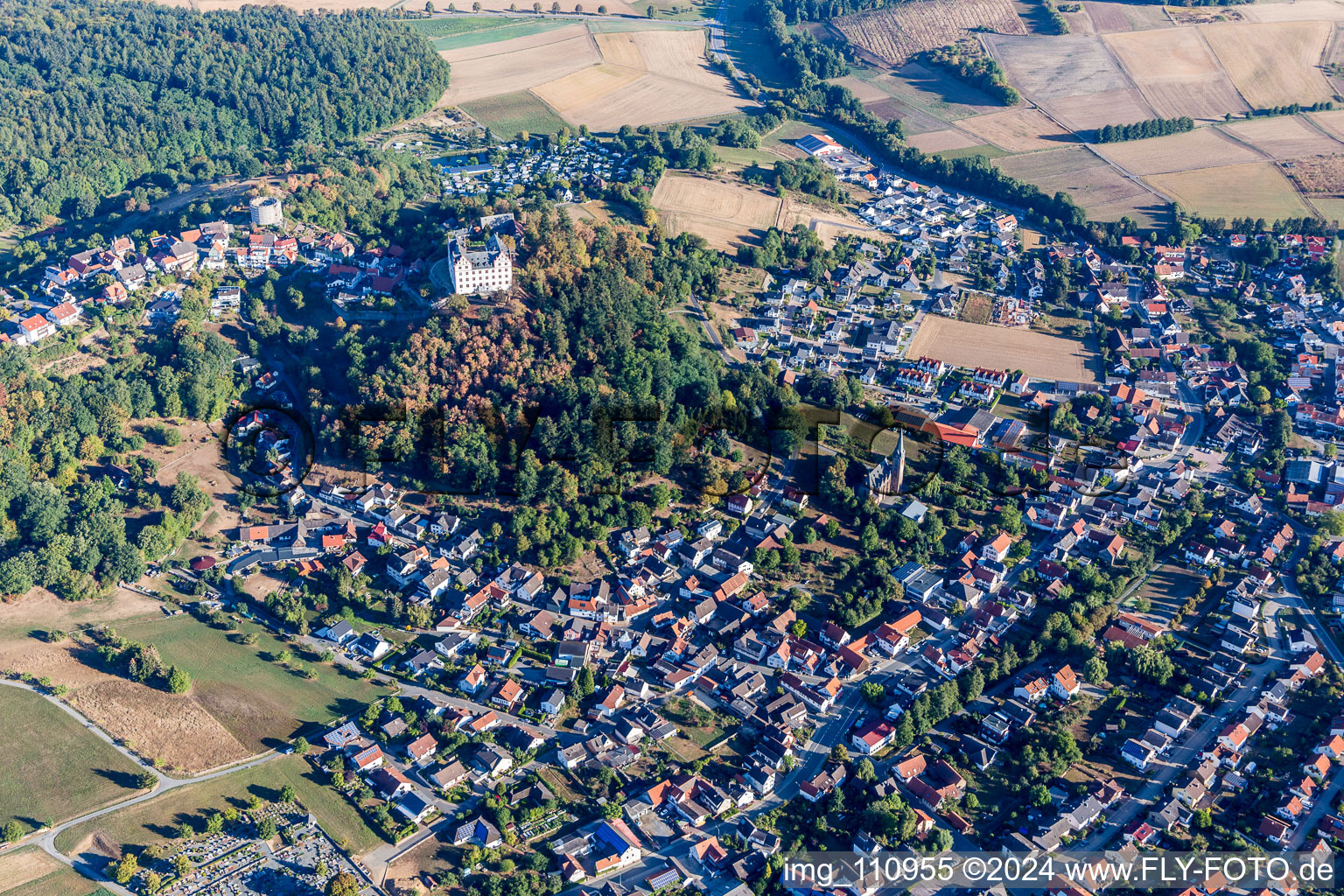 Fischbachtal, Schloß Lichtenberg im Bundesland Hessen, Deutschland vom Flugzeug aus