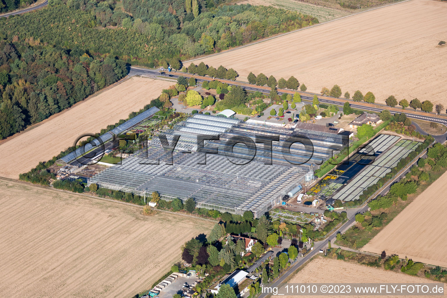 Drohnenbild von Seligenstadt im Bundesland Hessen, Deutschland