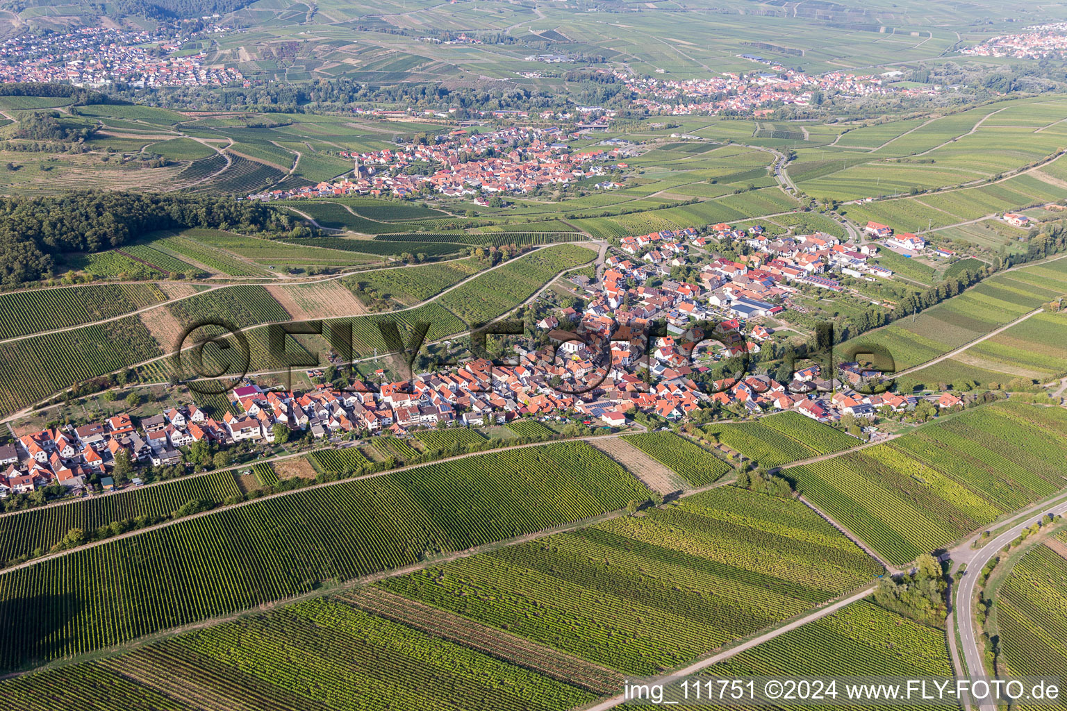 Drohnenbild von Ranschbach im Bundesland Rheinland-Pfalz, Deutschland