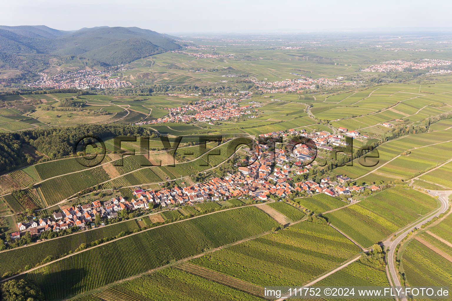 Ranschbach im Bundesland Rheinland-Pfalz, Deutschland aus der Drohnenperspektive