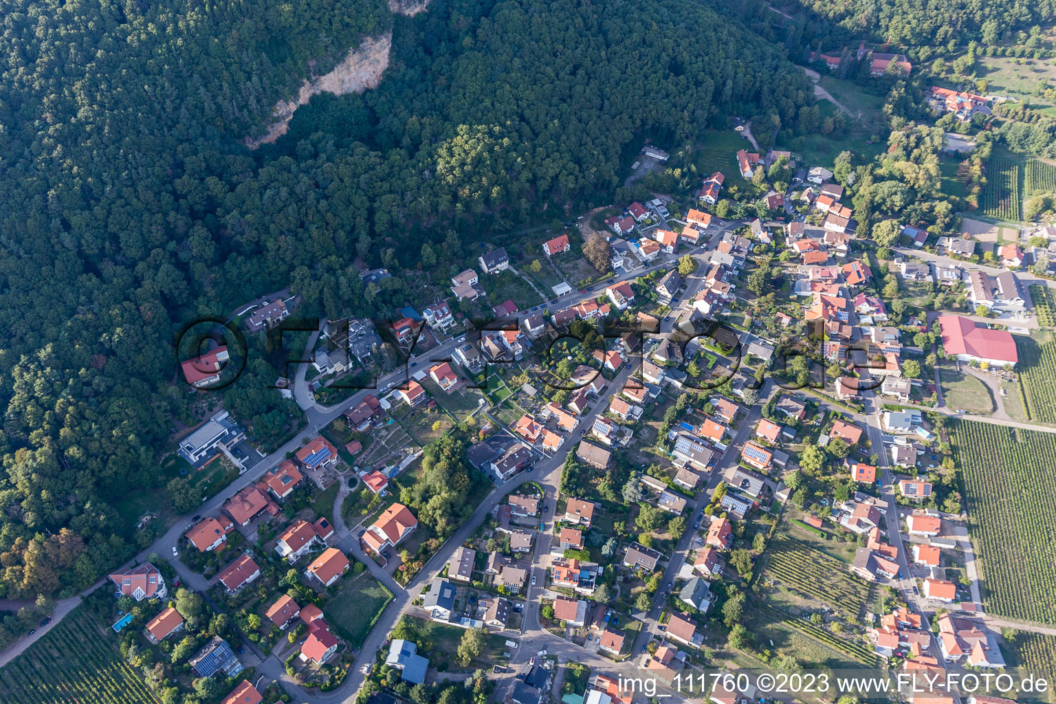 Frankweiler im Bundesland Rheinland-Pfalz, Deutschland aus der Luft betrachtet