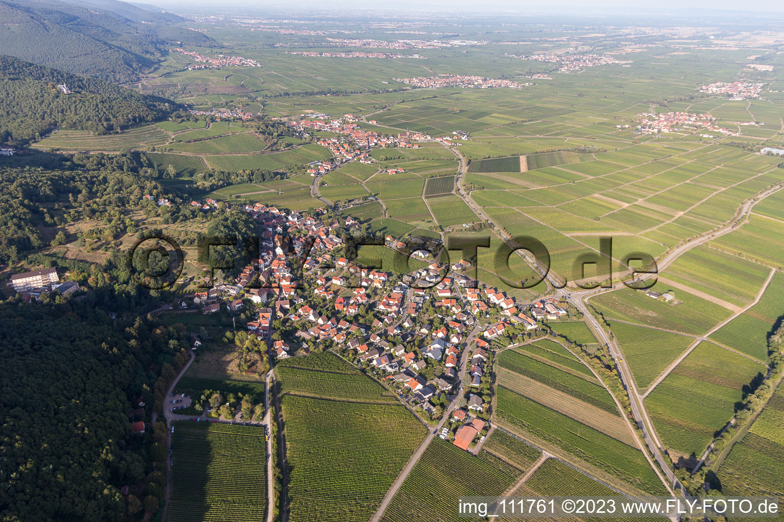 Drohnenbild von Gleisweiler im Bundesland Rheinland-Pfalz, Deutschland