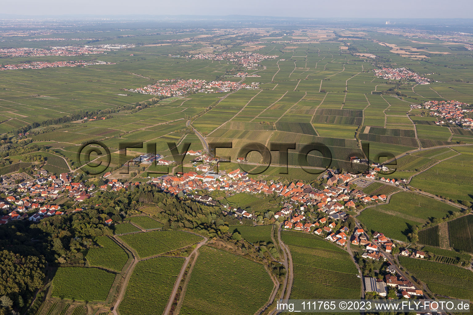Burrweiler im Bundesland Rheinland-Pfalz, Deutschland von oben
