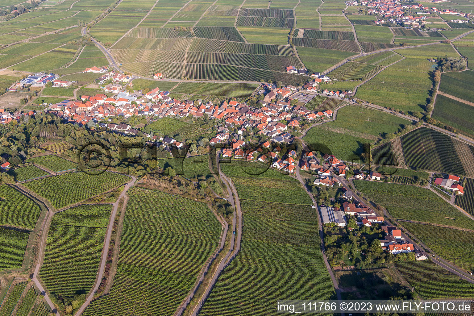 Burrweiler im Bundesland Rheinland-Pfalz, Deutschland aus der Luft