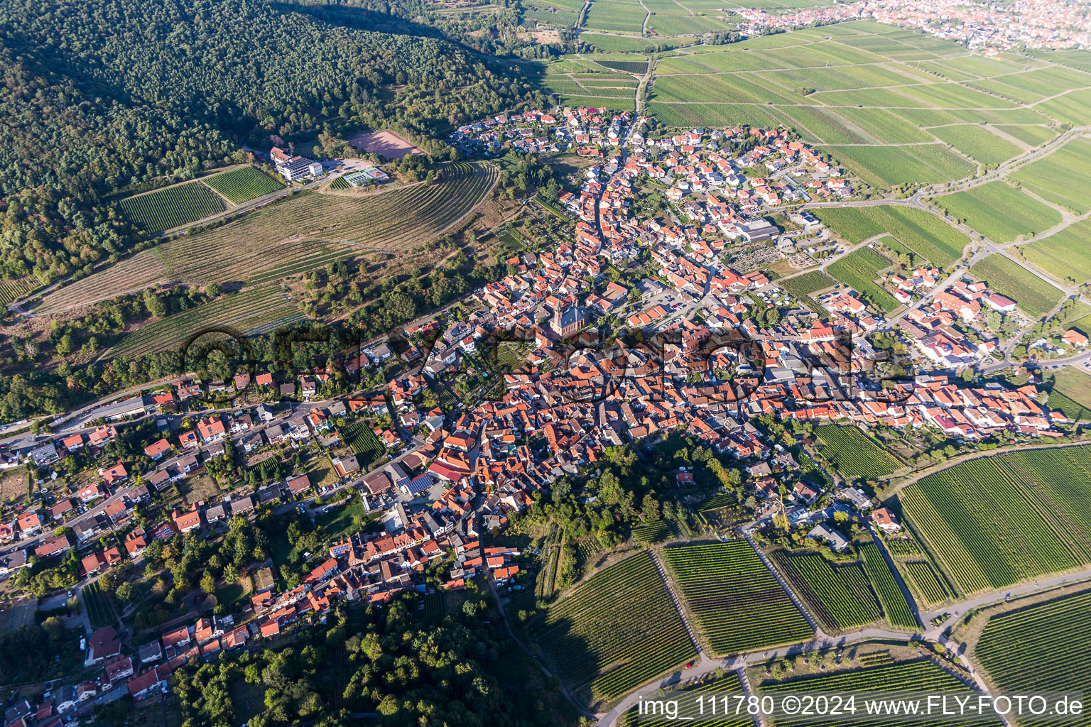 Luftaufnahme von Sankt Martin im Bundesland Rheinland-Pfalz, Deutschland
