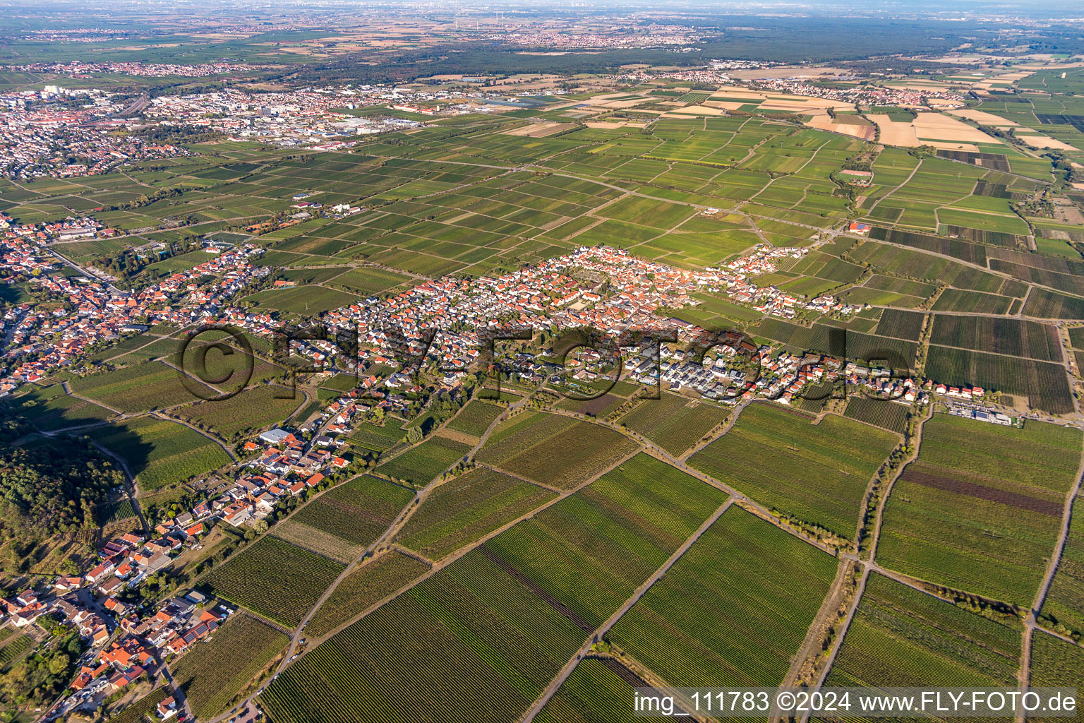 Schrägluftbild von Ortsteil Diedesfeld in Neustadt an der Weinstraße im Bundesland Rheinland-Pfalz, Deutschland