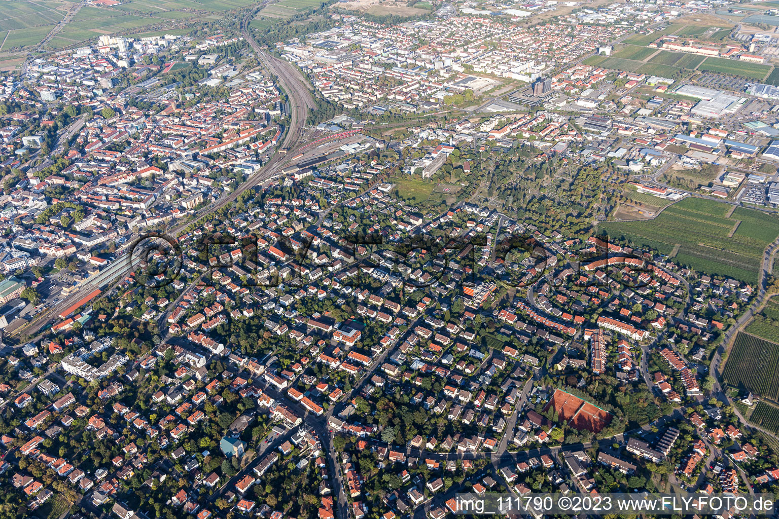Neustadt an der Weinstraße im Bundesland Rheinland-Pfalz, Deutschland aus der Drohnenperspektive