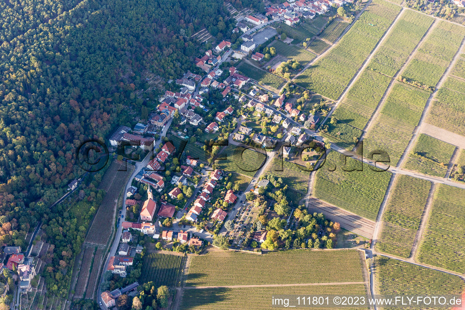 Luftbild von Ortsteil Haardt in Neustadt an der Weinstraße im Bundesland Rheinland-Pfalz, Deutschland