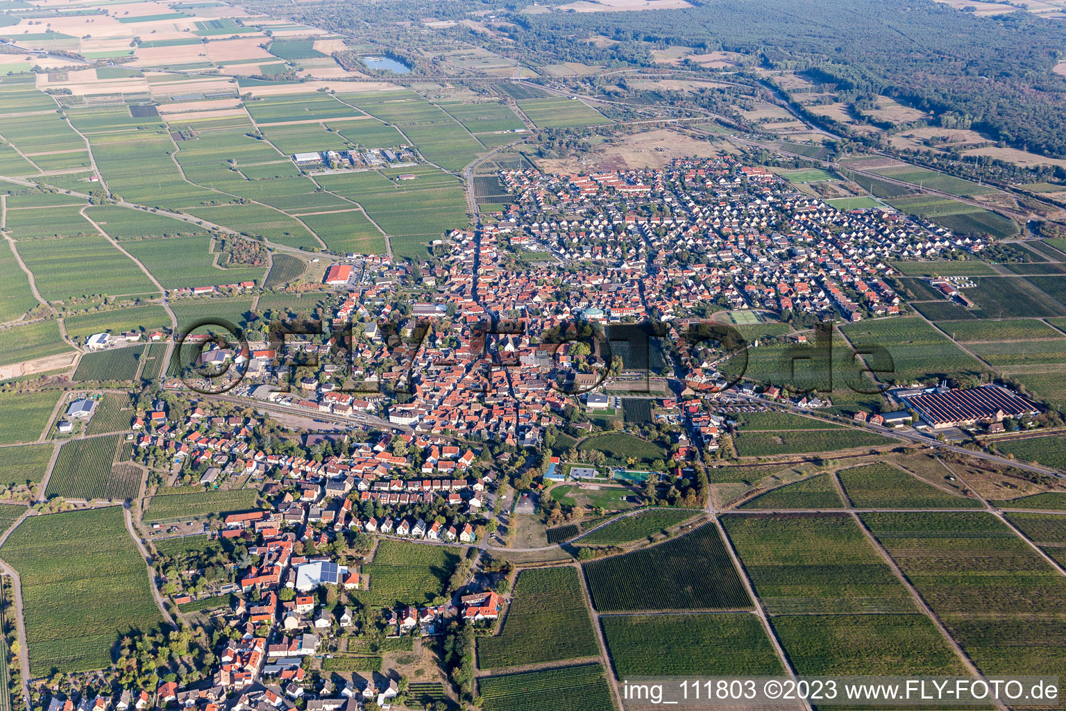 Luftbild von Mussbach im Ortsteil Mußbach in Neustadt an der Weinstraße im Bundesland Rheinland-Pfalz, Deutschland