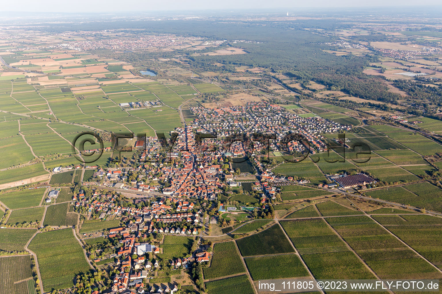 Luftaufnahme von Mussbach im Ortsteil Mußbach in Neustadt an der Weinstraße im Bundesland Rheinland-Pfalz, Deutschland
