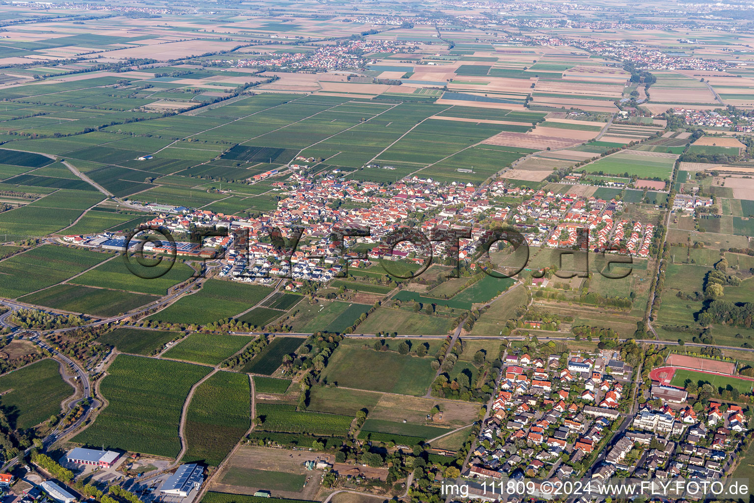 Niederkirchen bei Deidesheim im Bundesland Rheinland-Pfalz, Deutschland von oben gesehen