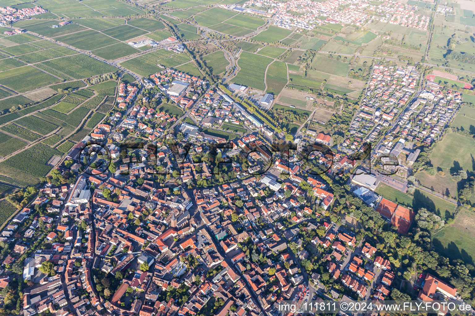 Deidesheim im Bundesland Rheinland-Pfalz, Deutschland vom Flugzeug aus