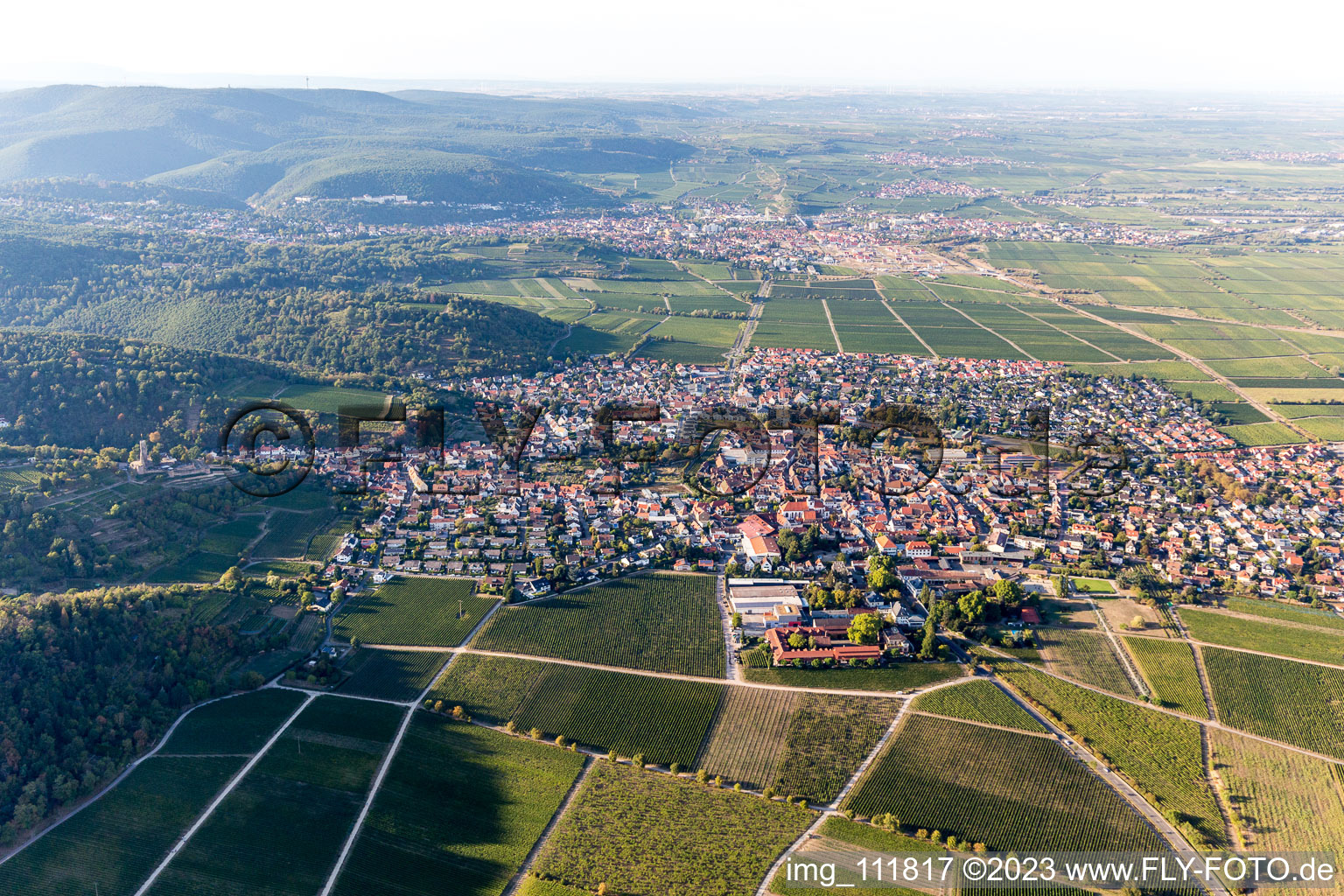 Schrägluftbild von Wachenheim an der Weinstraße im Bundesland Rheinland-Pfalz, Deutschland