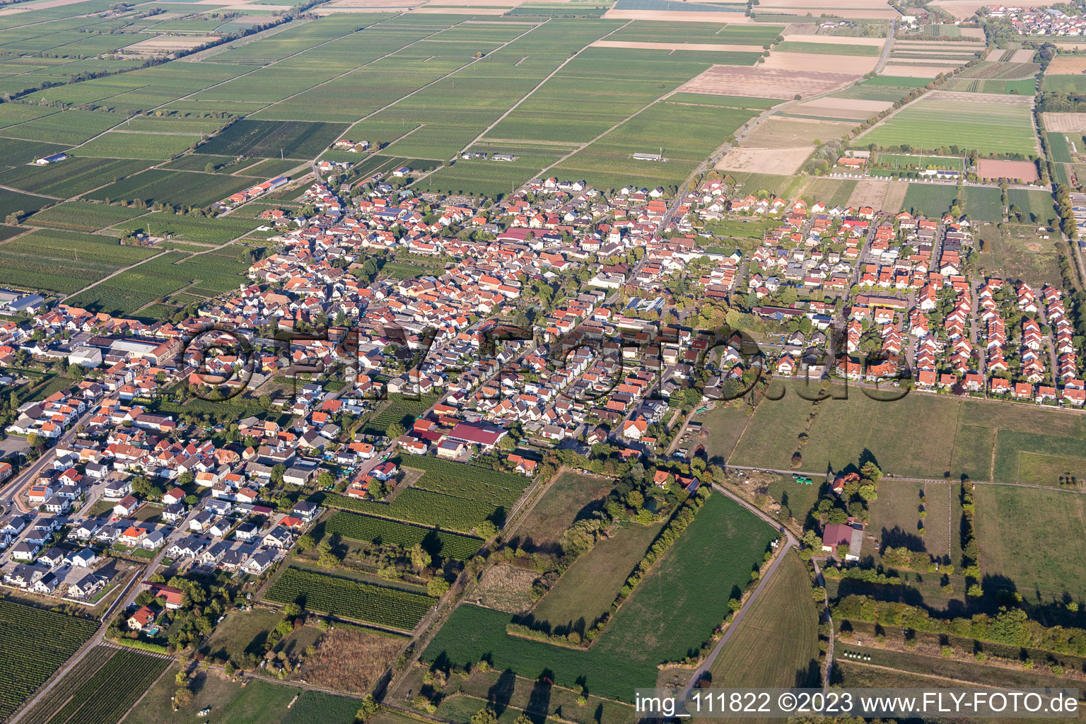 Drohnenbild von Ruppertsberg im Bundesland Rheinland-Pfalz, Deutschland