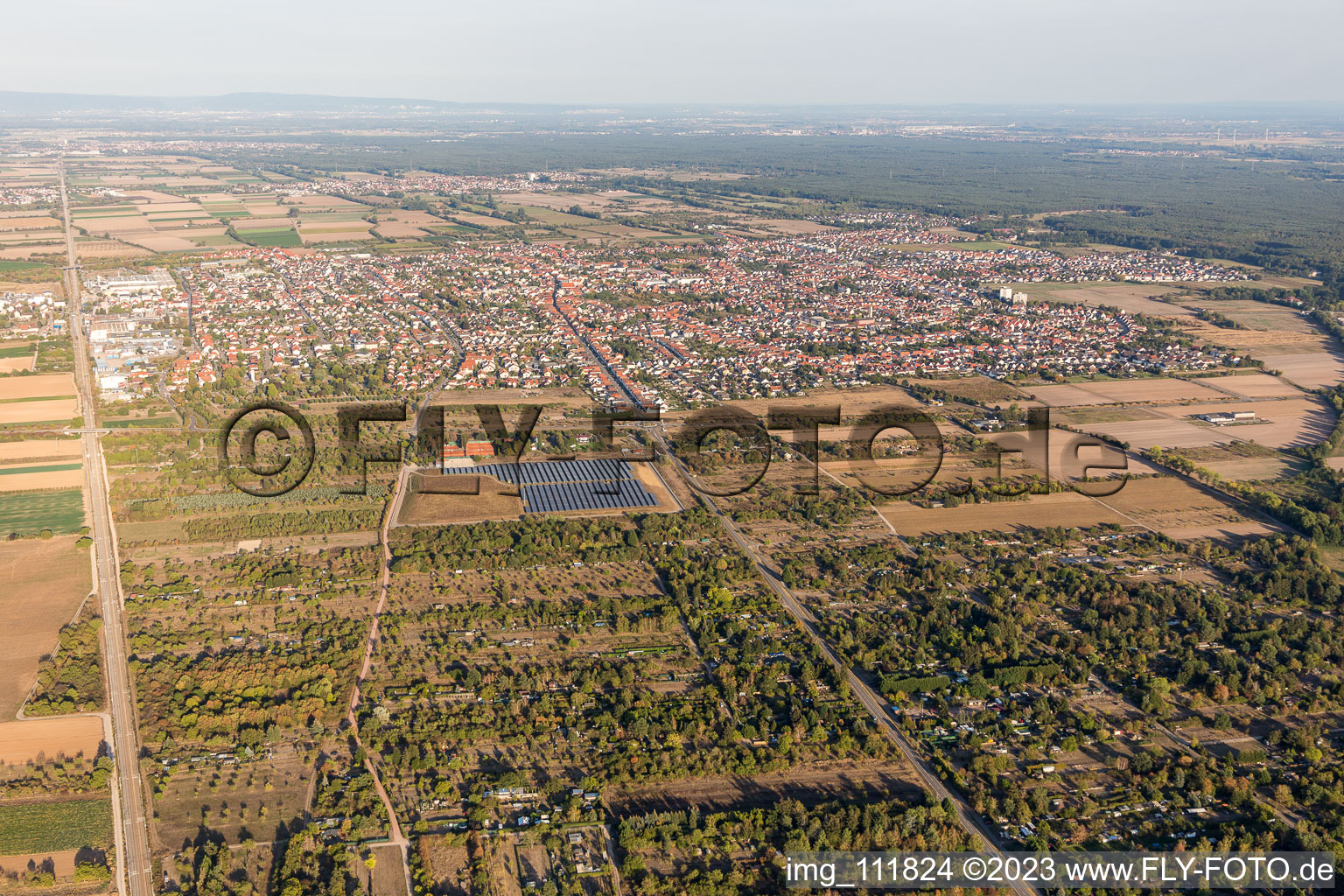 Haßloch im Bundesland Rheinland-Pfalz, Deutschland aus der Luft betrachtet