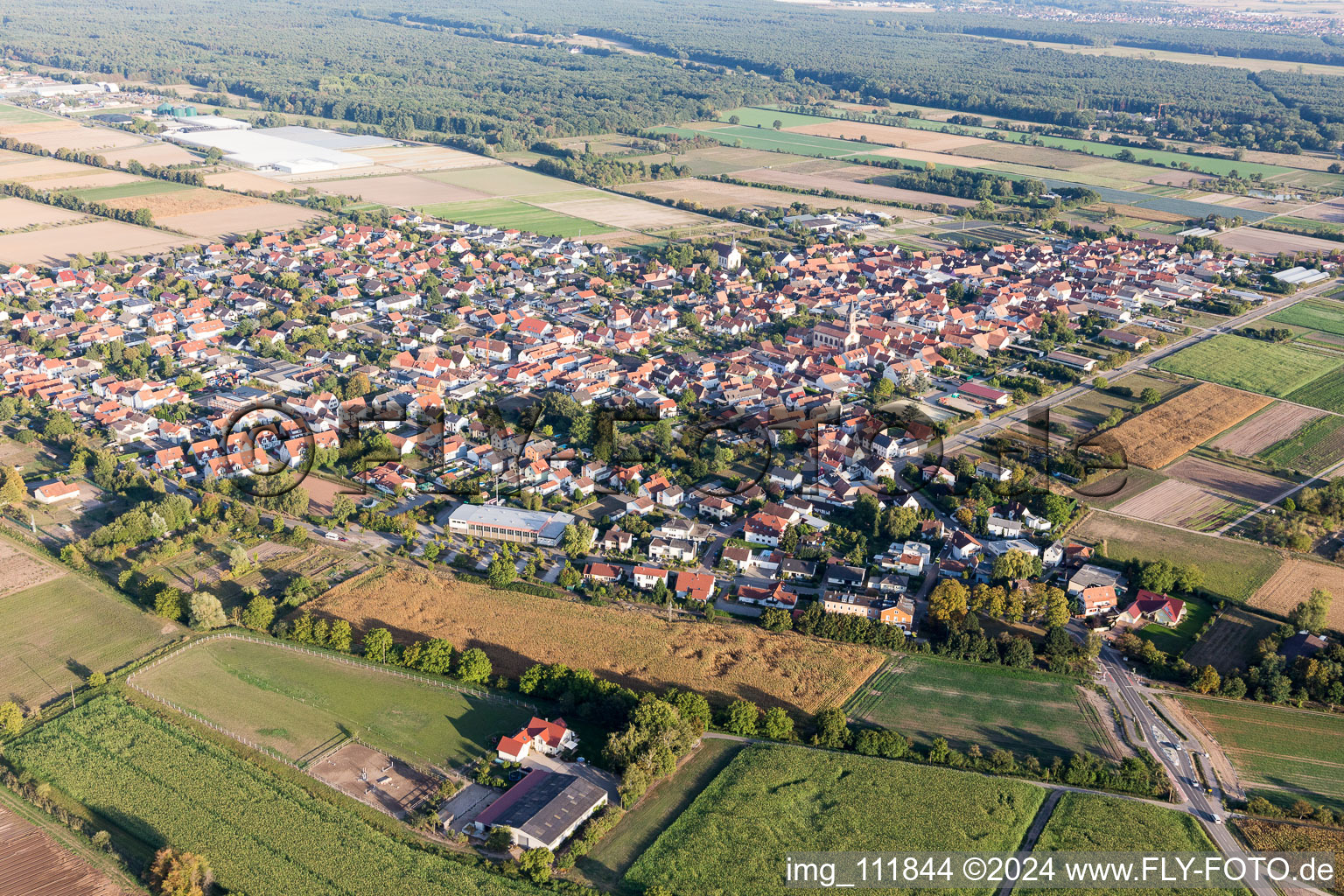 Zeiskam im Bundesland Rheinland-Pfalz, Deutschland aus der Drohnenperspektive