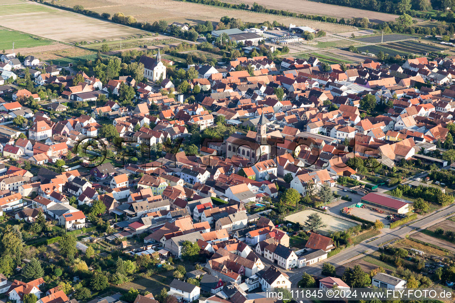 Zeiskam im Bundesland Rheinland-Pfalz, Deutschland von einer Drohne aus