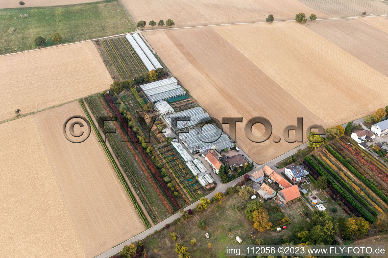 Vollmersweiler im Bundesland Rheinland-Pfalz, Deutschland aus der Luft betrachtet