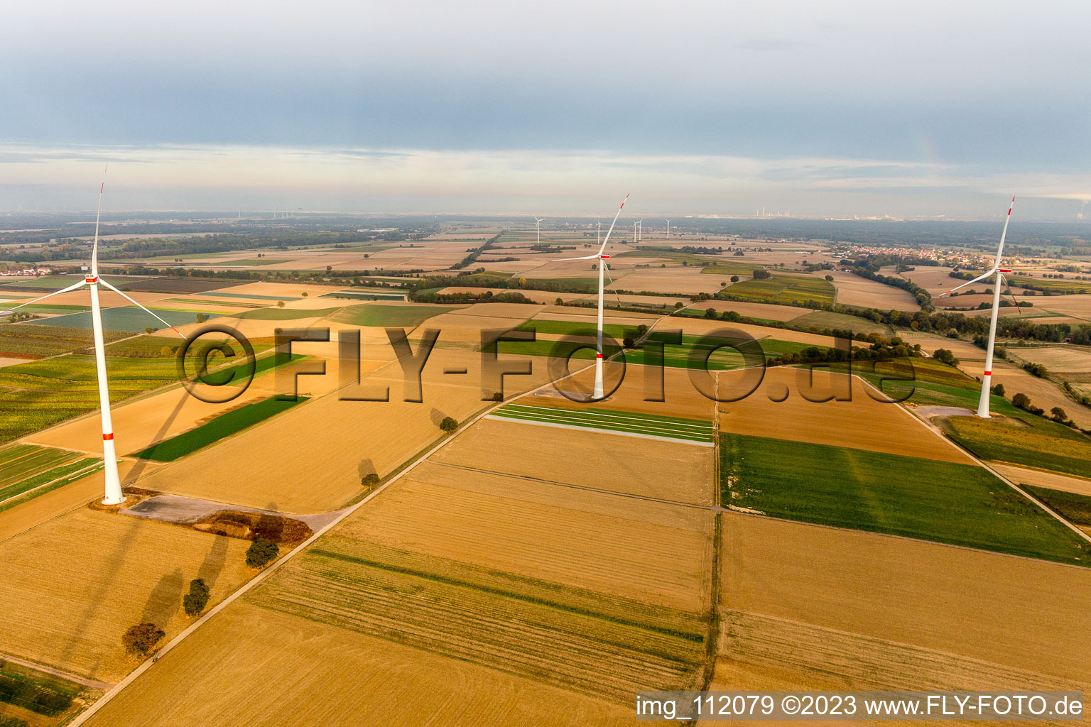 Freckenfeld, Windpark der EnBW - Windenergieanlage mit 6 Windrädern im Bundesland Rheinland-Pfalz, Deutschland aus der Drohnenperspektive