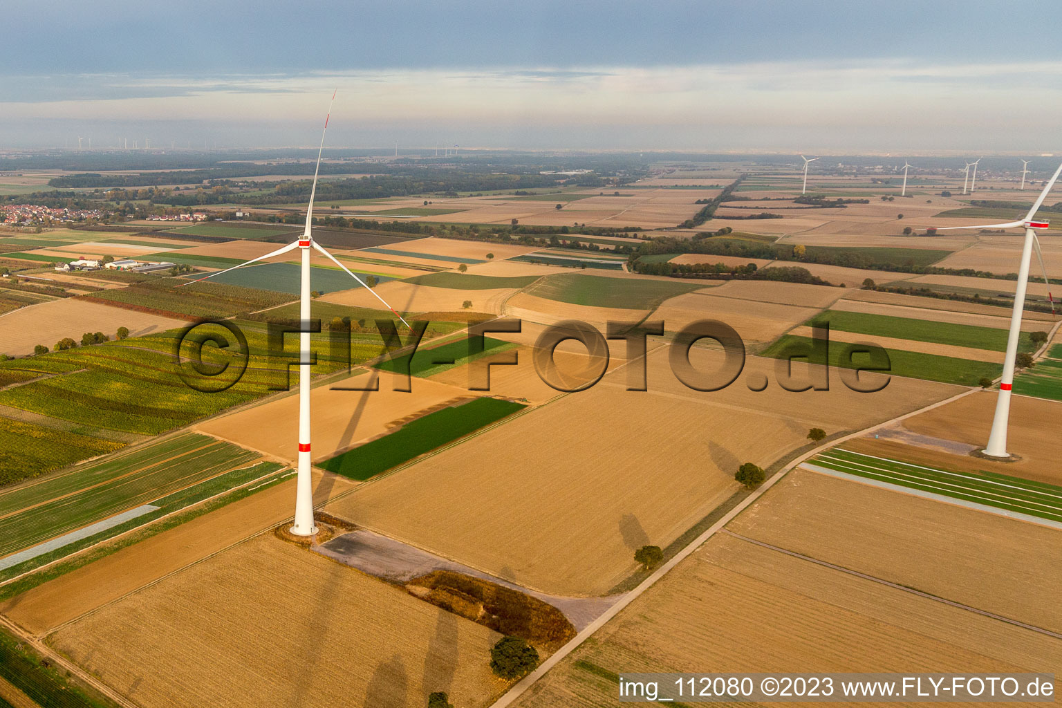 Freckenfeld, Windpark der EnBW - Windenergieanlage mit 6 Windrädern im Bundesland Rheinland-Pfalz, Deutschland von einer Drohne aus