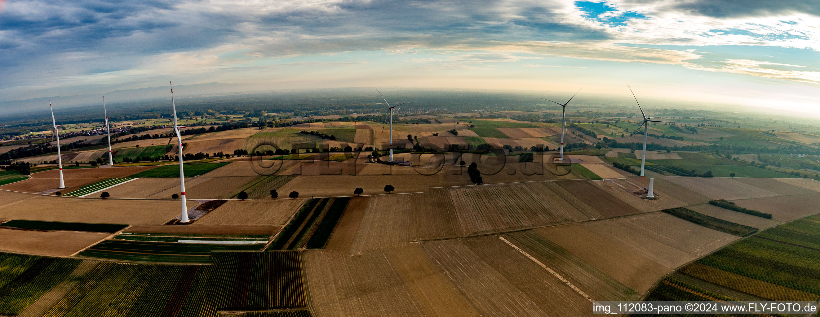 Windpark der EnBW - Windenergieanlage mit 6 Windrädern auf einem Feld in Freckenfeld im Bundesland Rheinland-Pfalz, Deutschland