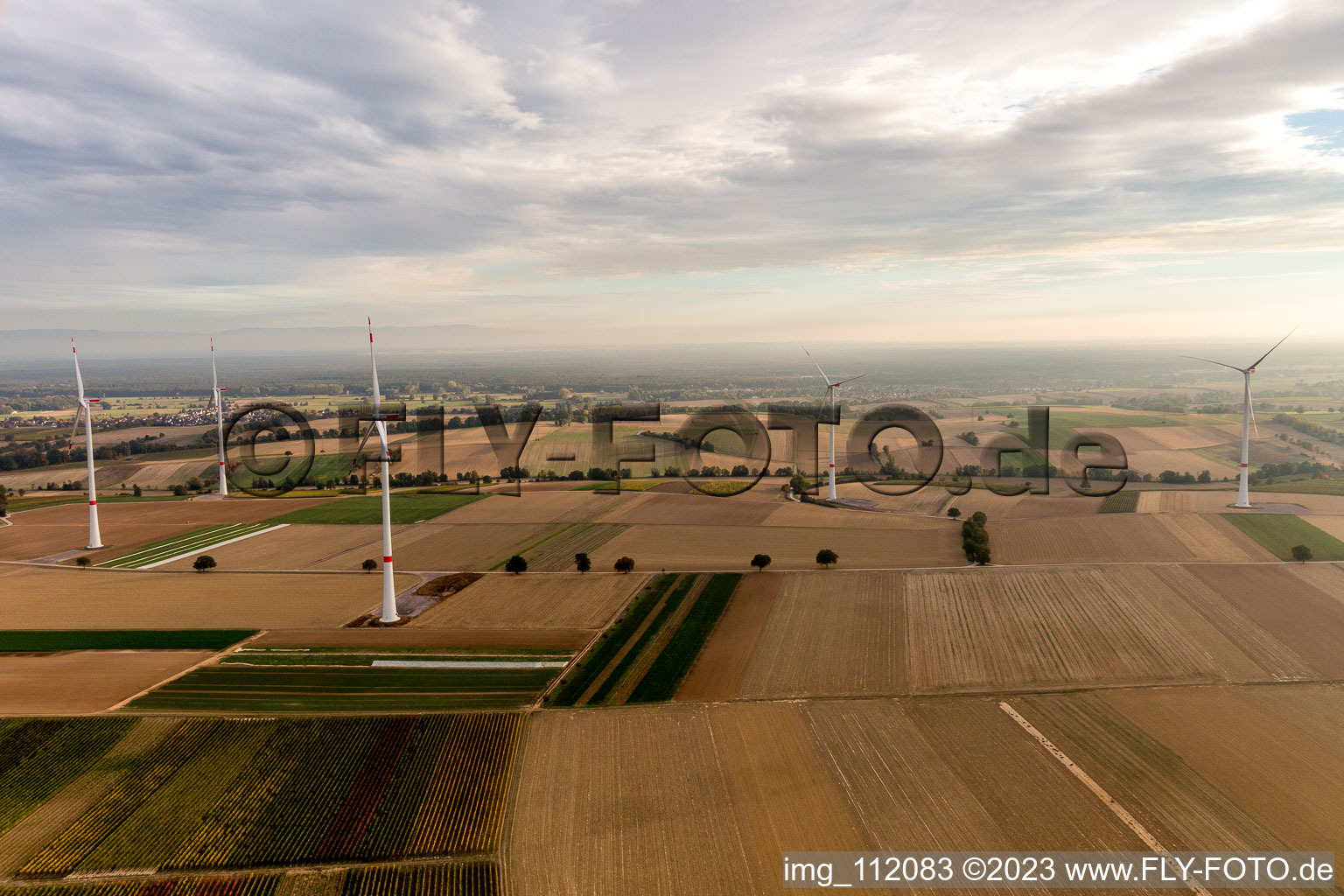 Freckenfeld, Windpark der EnBW - Windenergieanlage mit 6 Windrädern im Bundesland Rheinland-Pfalz, Deutschland von der Drohne aus gesehen