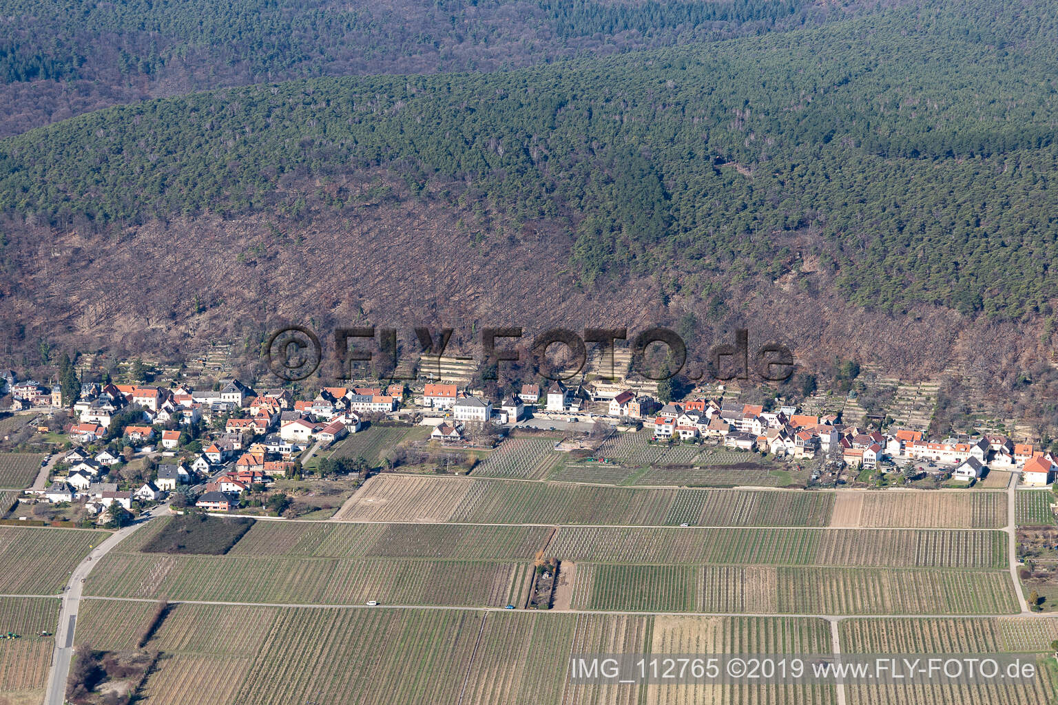 Luftaufnahme von Ortsteil Haardt in Neustadt an der Weinstraße im Bundesland Rheinland-Pfalz, Deutschland