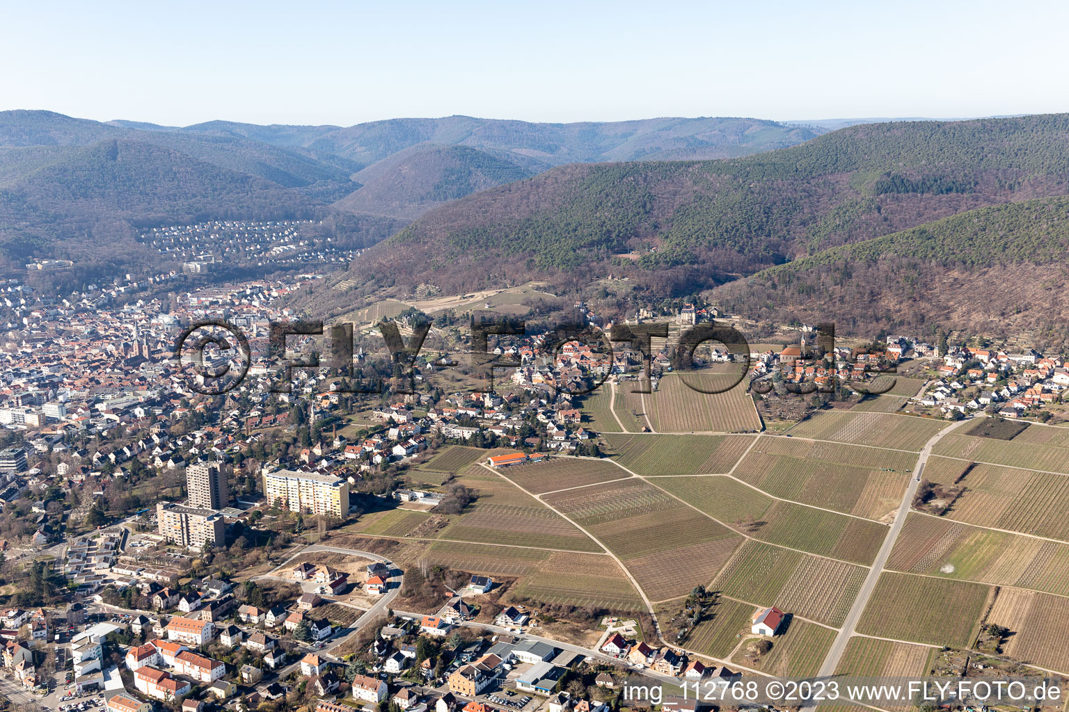 Neustadt an der Weinstraße im Bundesland Rheinland-Pfalz, Deutschland aus der Luft