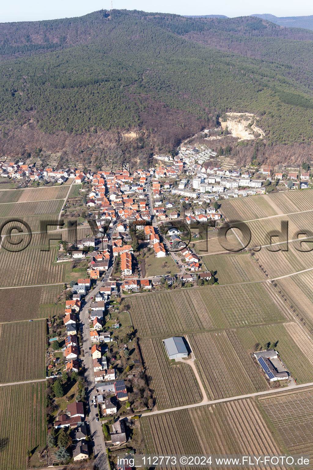 Weinberge umsäumen das Siedlungsgebiet des Dorfes im Ortsteil Haardt in Neustadt an der Weinstraße im Bundesland Rheinland-Pfalz, Deutschland