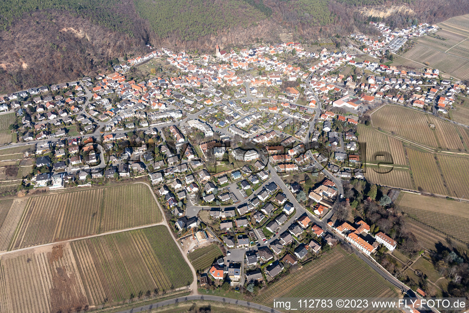 Luftbild von Ortsteil Königsbach in Neustadt an der Weinstraße im Bundesland Rheinland-Pfalz, Deutschland