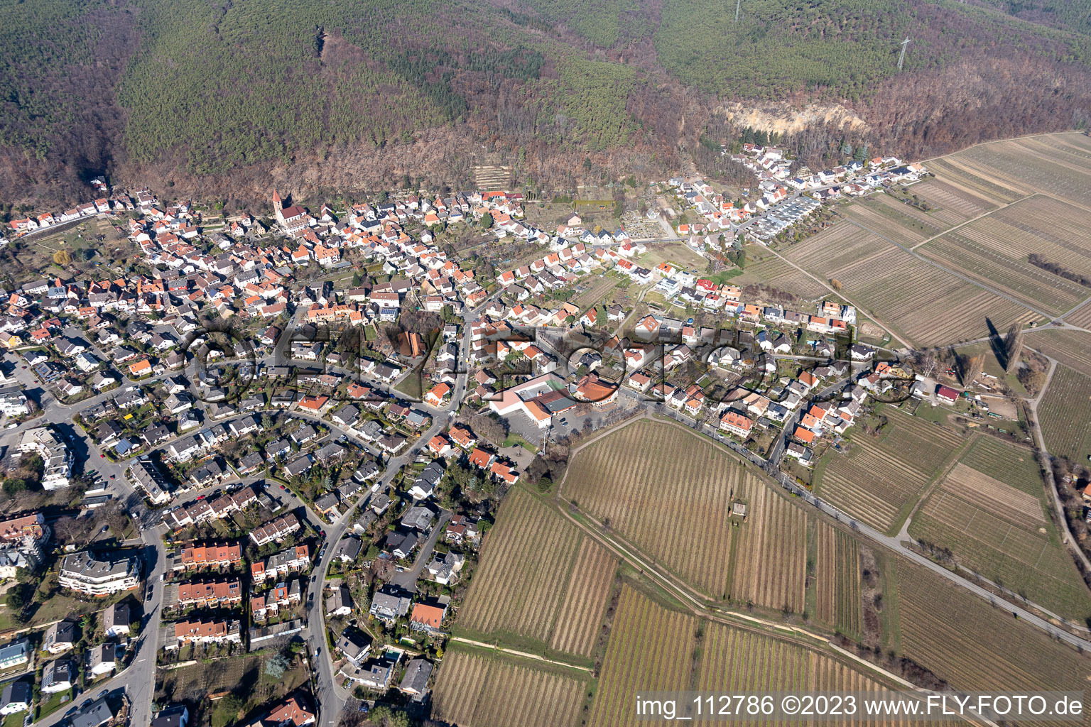 Luftaufnahme von Ortsteil Königsbach in Neustadt an der Weinstraße im Bundesland Rheinland-Pfalz, Deutschland