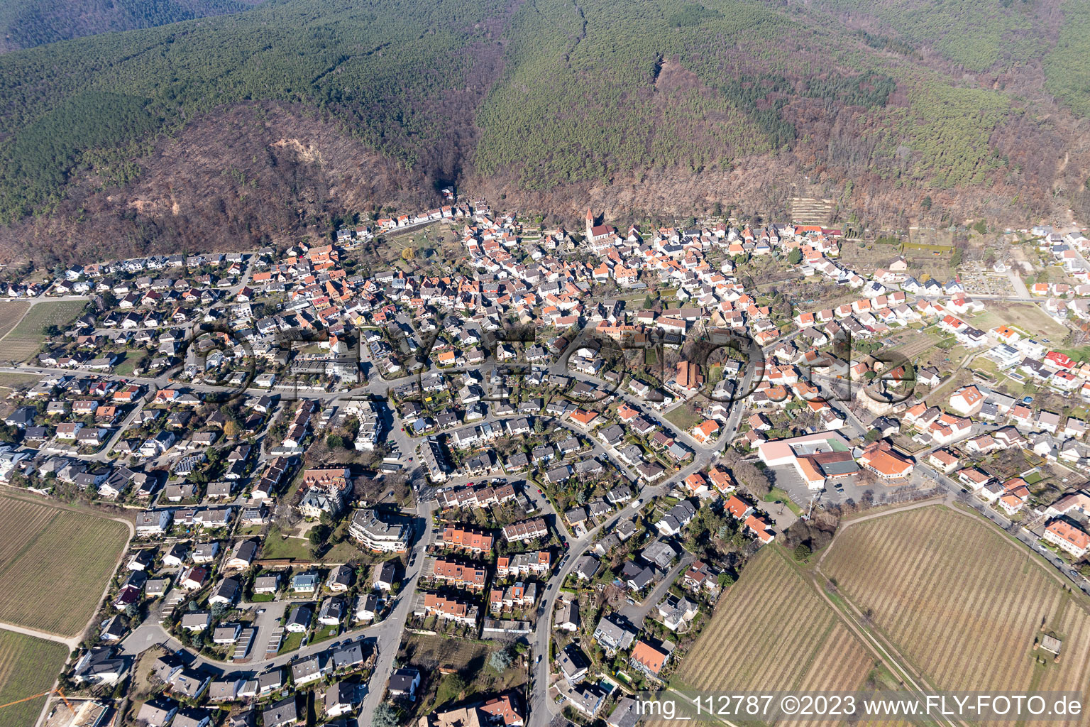 Schrägluftbild von Ortsteil Königsbach in Neustadt an der Weinstraße im Bundesland Rheinland-Pfalz, Deutschland