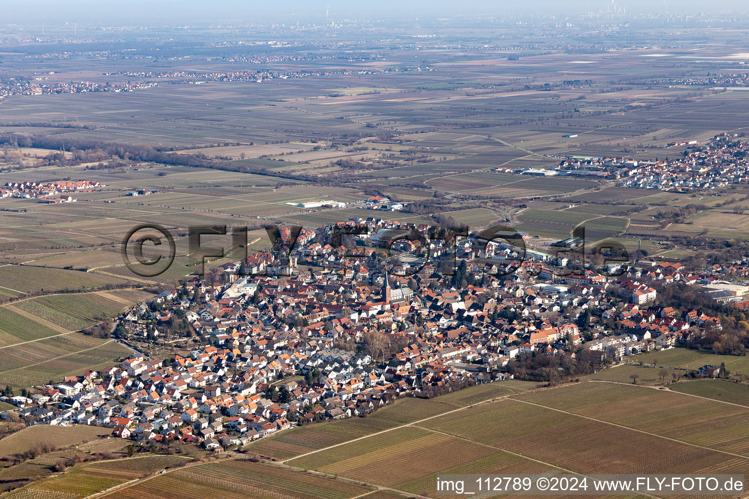 Ortsbereich und Umgebung in Deidesheim im Bundesland Rheinland-Pfalz, Deutschland