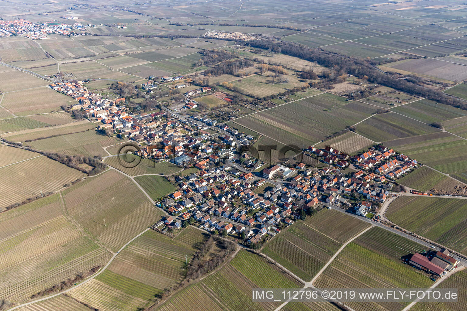 Luftbild von Dorf - Ansicht am Rande von Weinbergen in Forst an der Weinstraße im Bundesland Rheinland-Pfalz, Deutschland