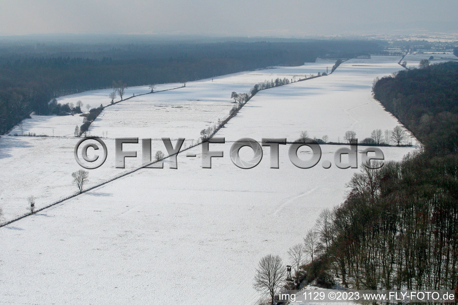 Luftbild von Kandel, Winterbienwald im Bundesland Rheinland-Pfalz, Deutschland