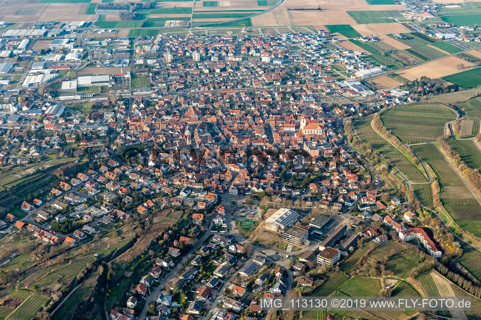 Luftbild von Stadtrand und Außenbezirks- Wohngebiete in Endingen am Kaiserstuhl im Bundesland Baden-Württemberg, Deutschland