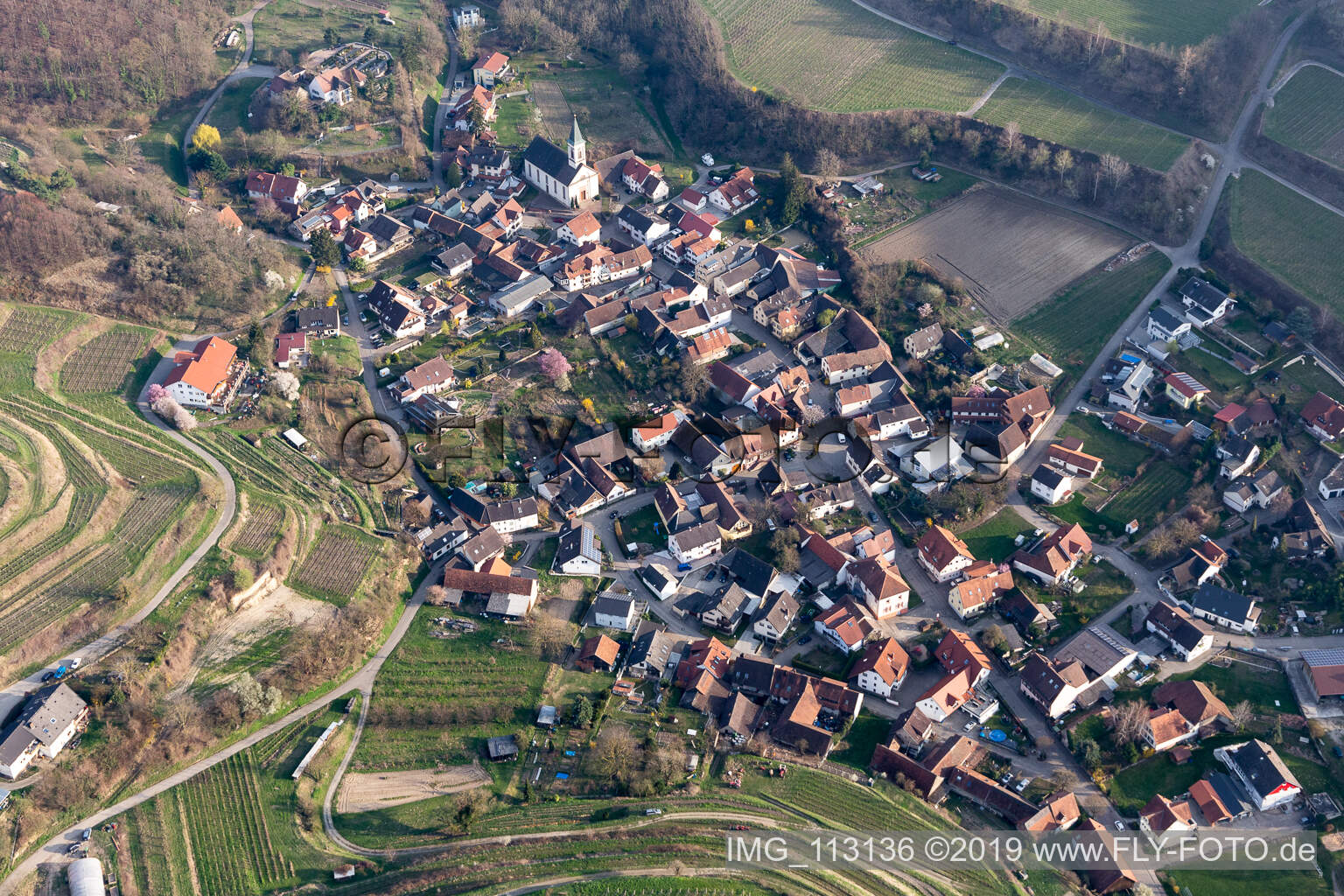 Luftbild von Dorf - Ansicht in Amoltern in Endingen am Kaiserstuhl im Bundesland Baden-Württemberg, Deutschland