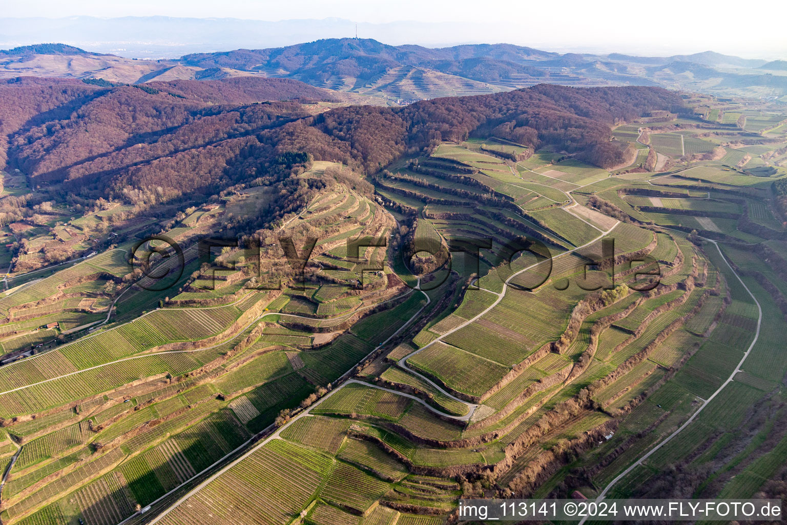 Endingen am Kaiserstuhl im Bundesland Baden-Württemberg, Deutschland