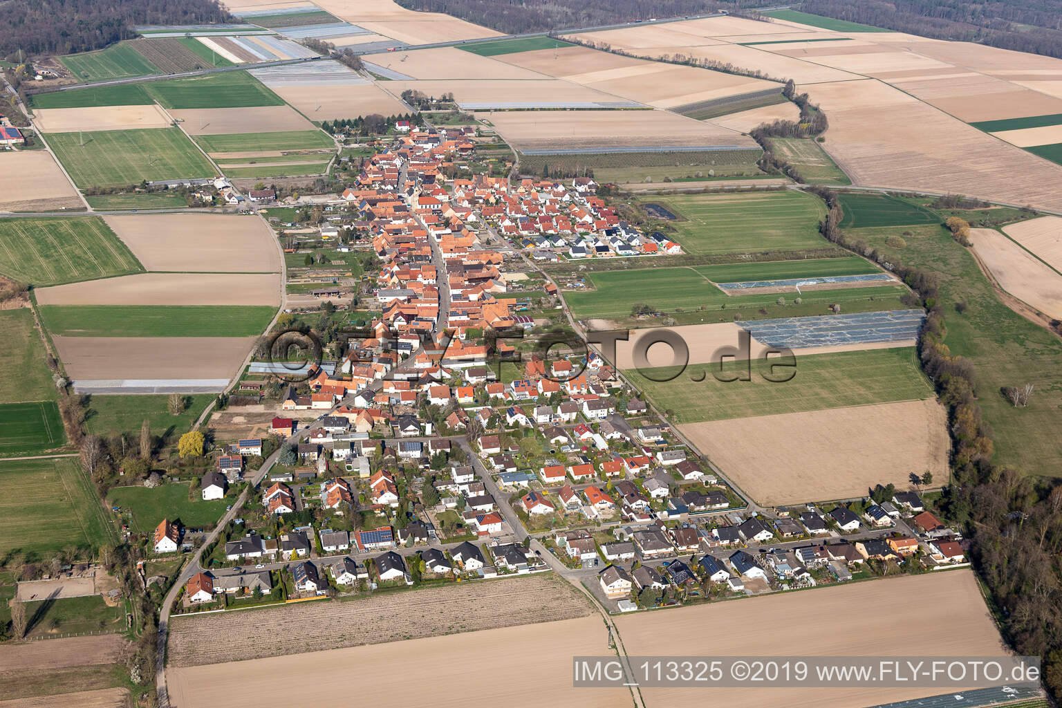 Erlenbach bei Kandel im Bundesland Rheinland-Pfalz, Deutschland aus der Drohnenperspektive