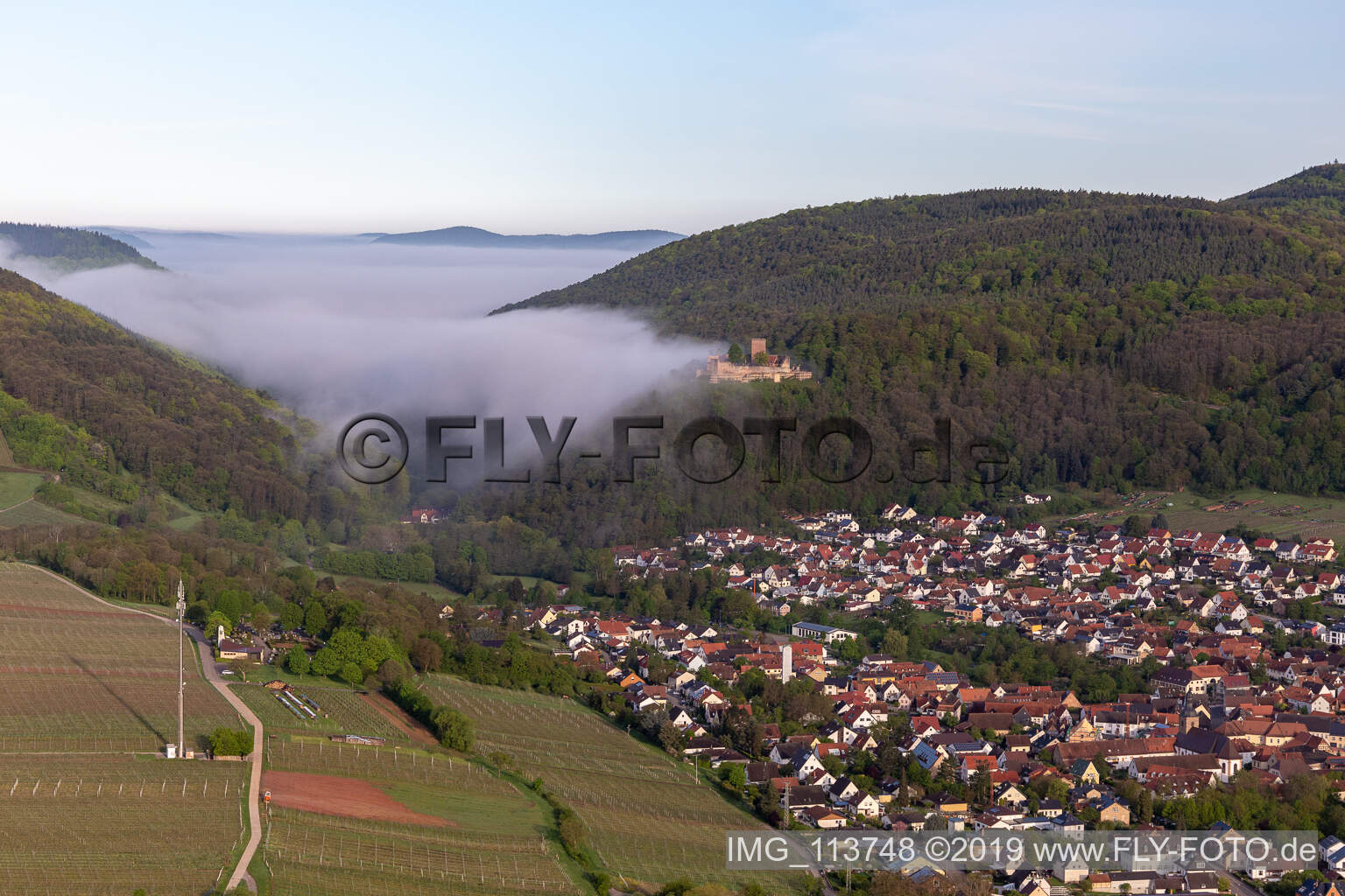 Luftbild von Burg Landeck im Morgennebel in Klingenmünster im Bundesland Rheinland-Pfalz, Deutschland