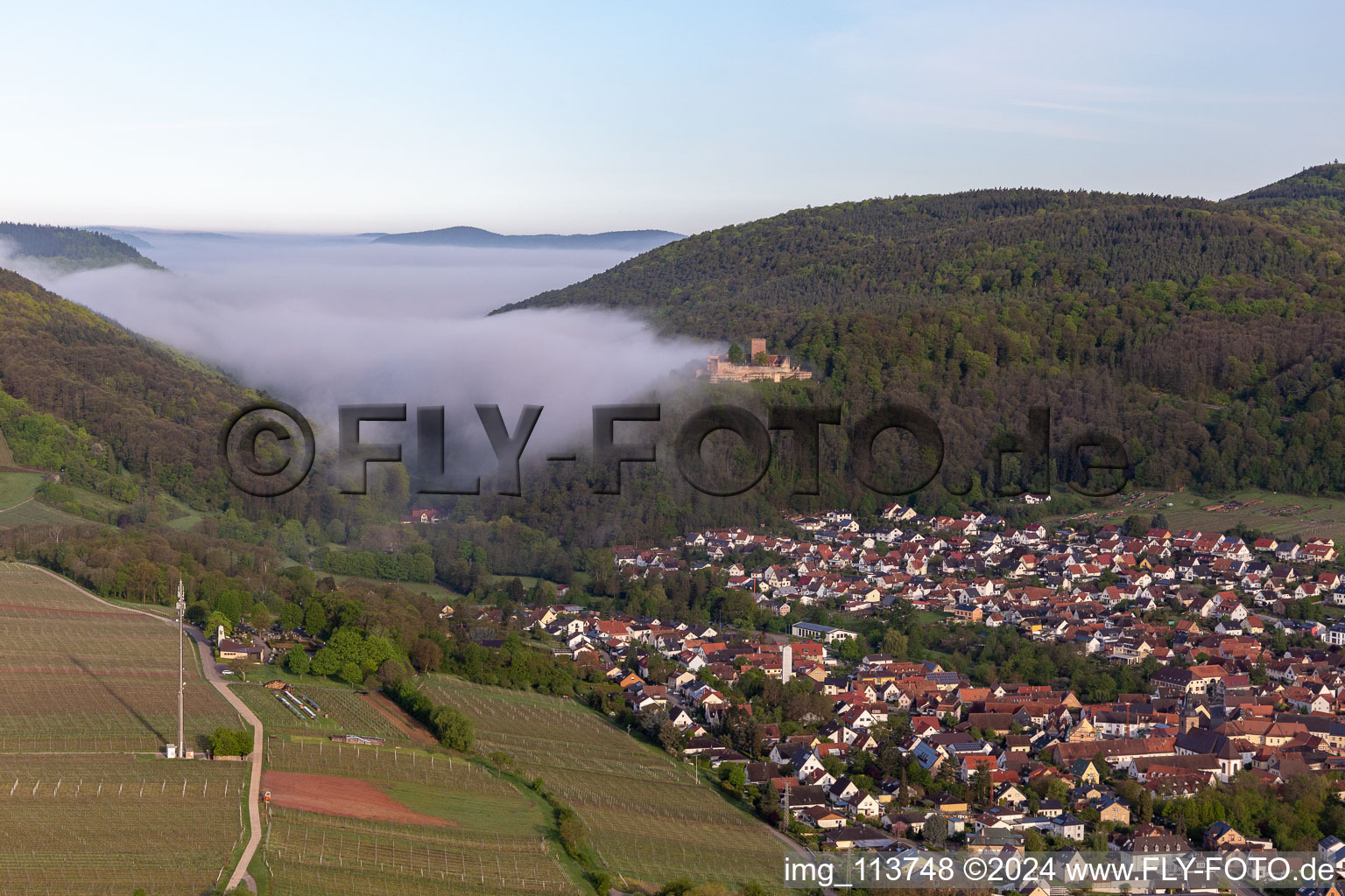 Luftbild von Burg Landeck im Morgennebel in Klingenmünster im Bundesland Rheinland-Pfalz, Deutschland