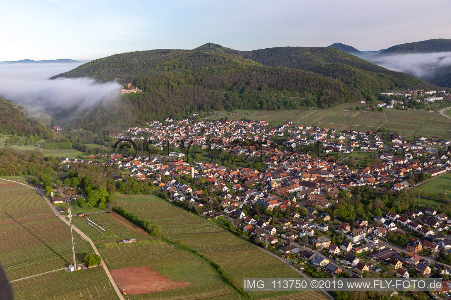 Schrägluftbild von Burg Landeck im Morgennebel in Klingenmünster im Bundesland Rheinland-Pfalz, Deutschland