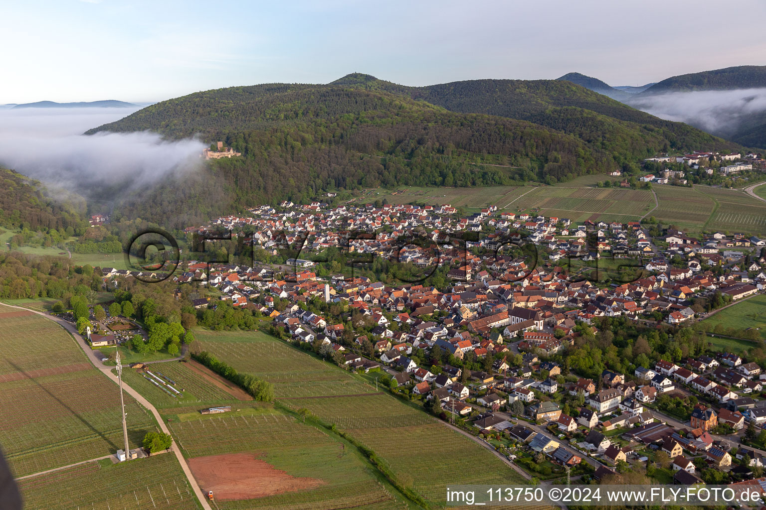 Schrägluftbild von Burg Landeck im Morgennebel in Klingenmünster im Bundesland Rheinland-Pfalz, Deutschland