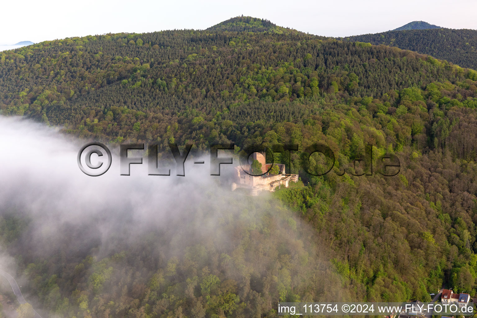 Burg Landeck im Morgennebel in Klingenmünster im Bundesland Rheinland-Pfalz, Deutschland aus der Luft