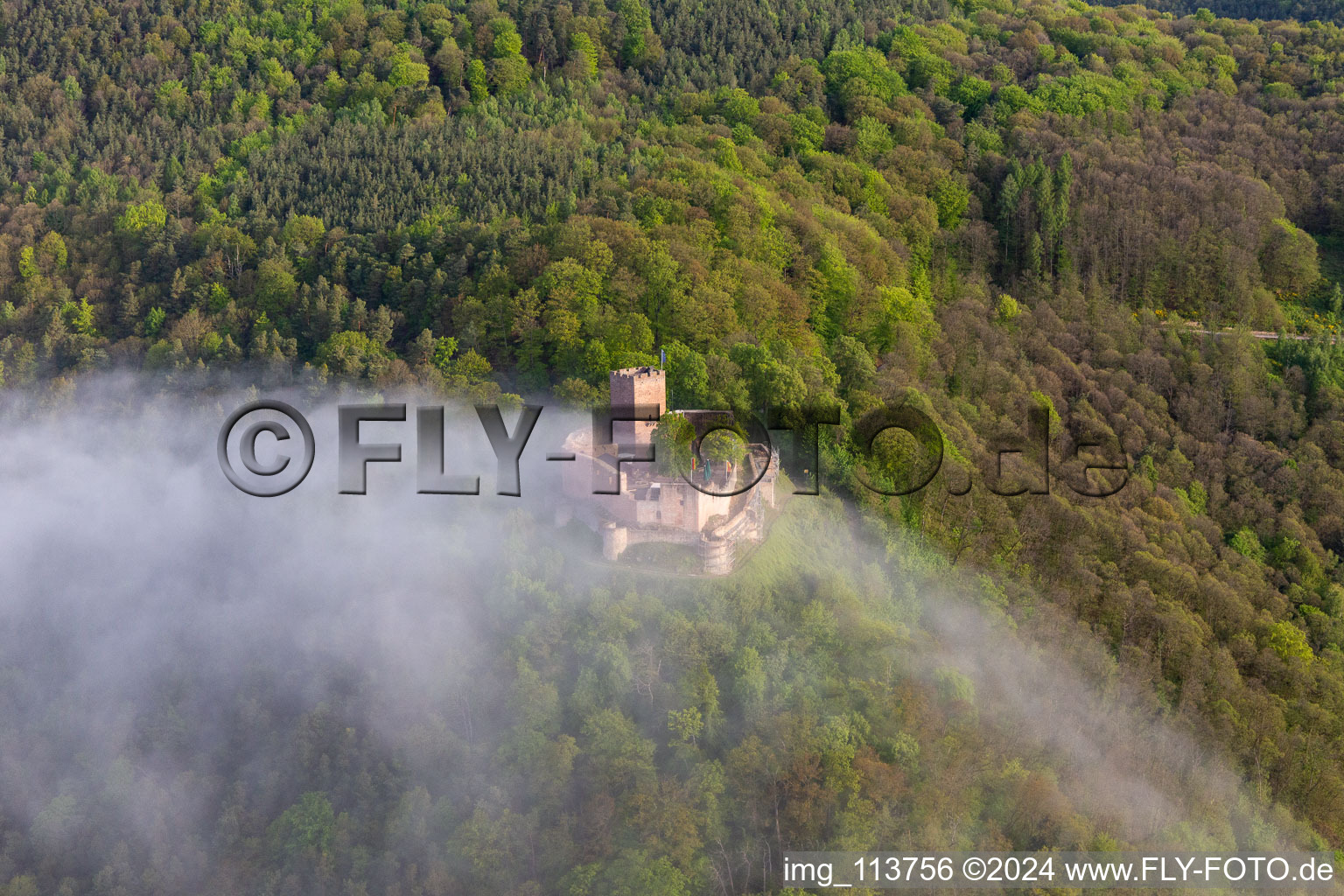 Burg Landeck im Morgennebel in Klingenmünster im Bundesland Rheinland-Pfalz, Deutschland von oben gesehen