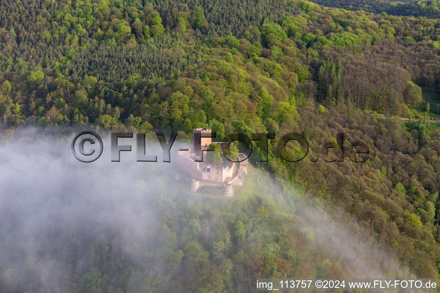 Burg Landeck im Morgennebel in Klingenmünster im Bundesland Rheinland-Pfalz, Deutschland vom Flugzeug aus