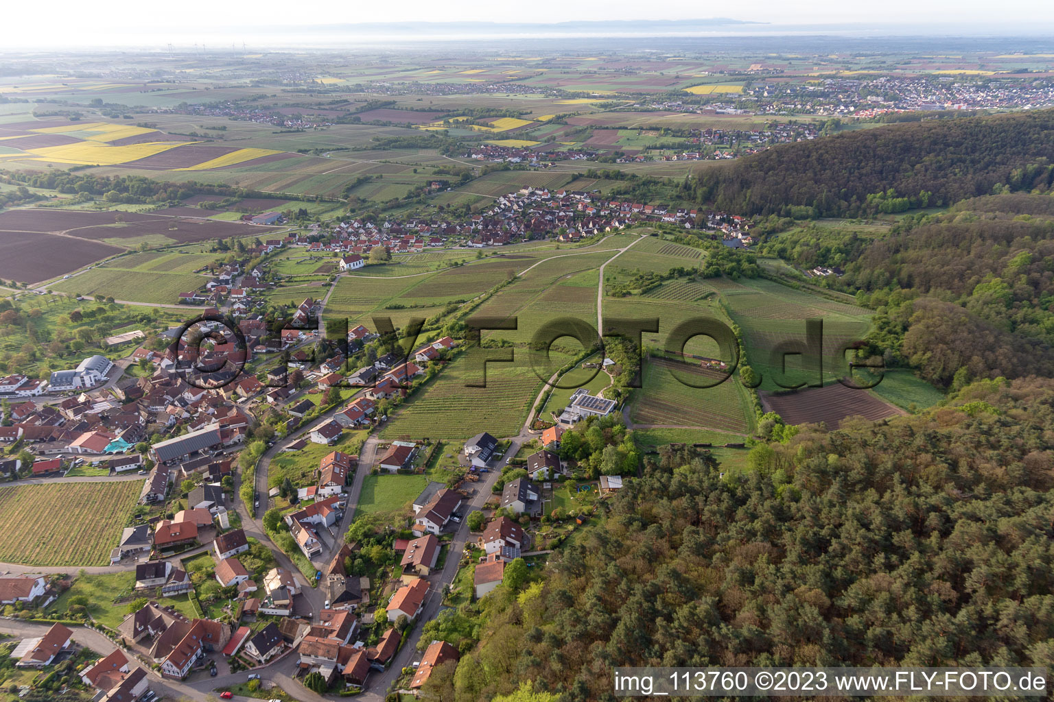 Ortsteil Gleiszellen in Gleiszellen-Gleishorbach im Bundesland Rheinland-Pfalz, Deutschland von oben
